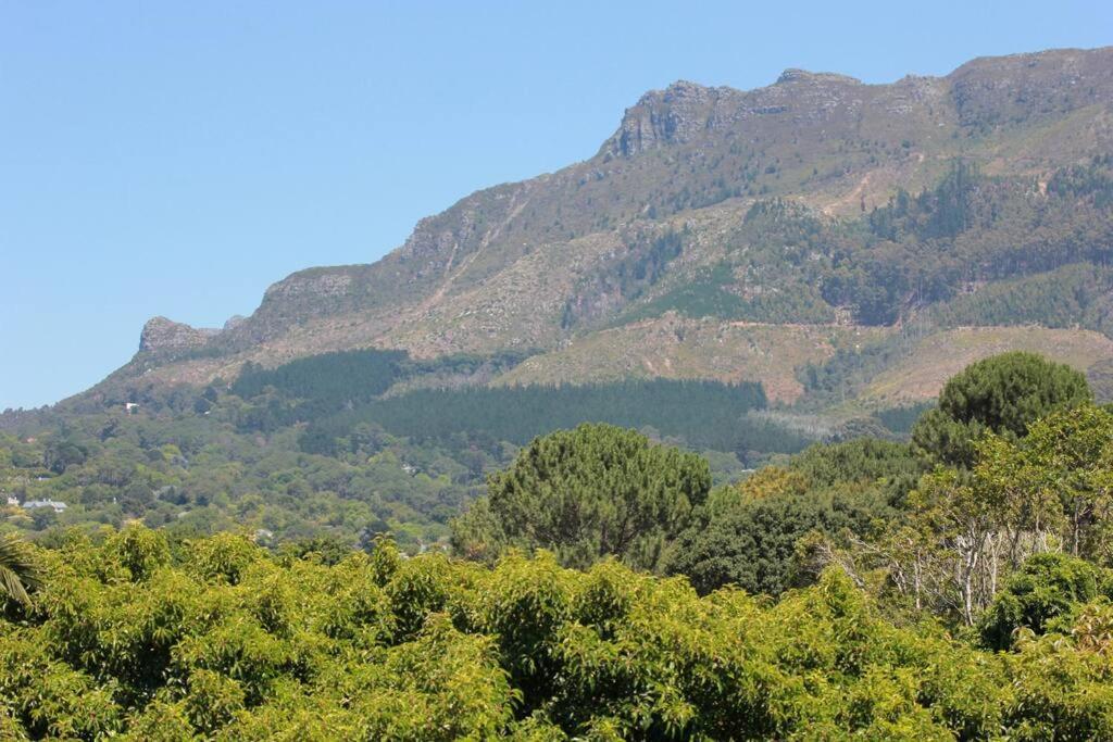 Alphen Drive * Le Cap